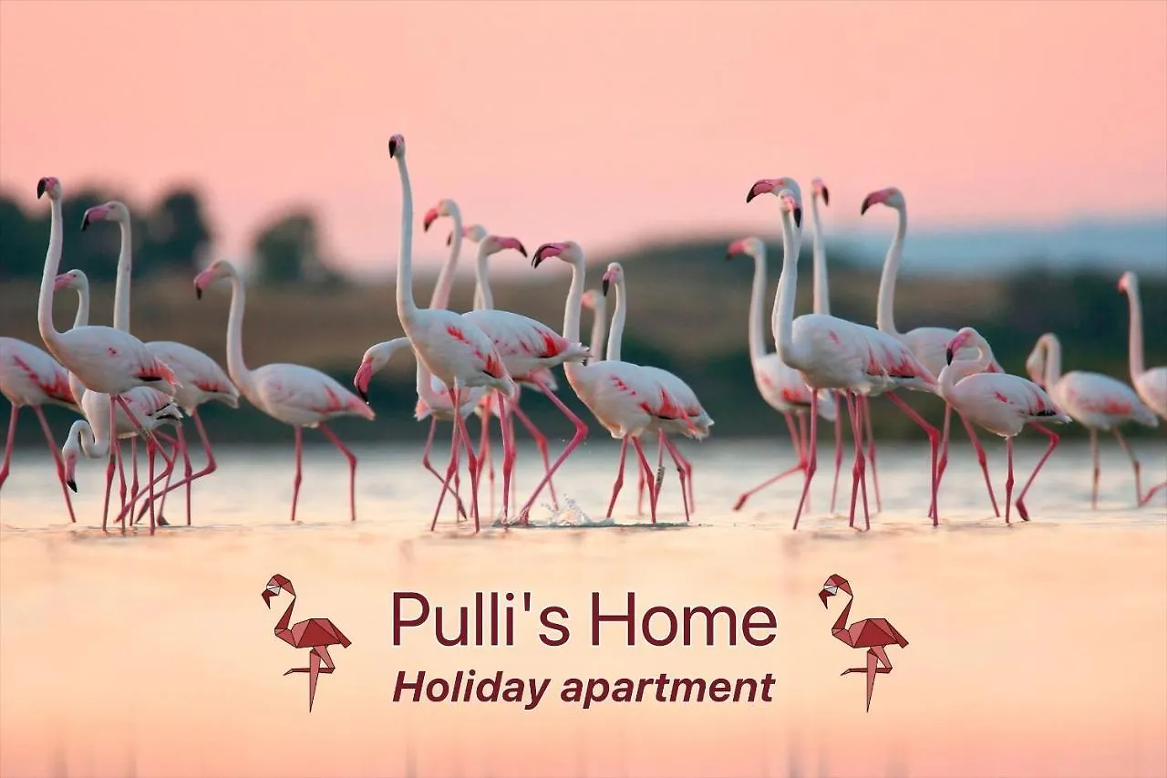 Pulli\'S Home - Comfy&Cozy House location